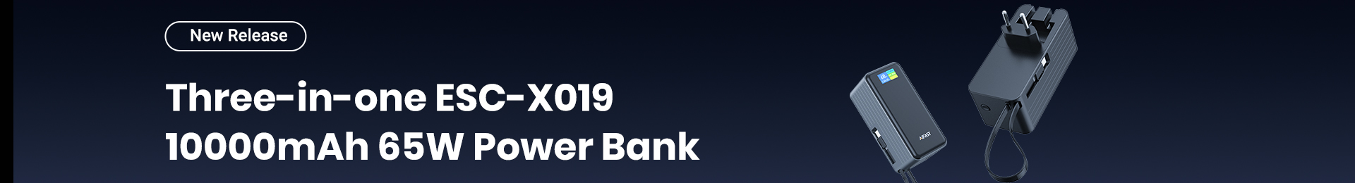 Samsung Quick Charger